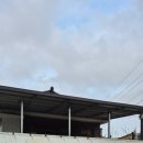 뜨락칼국수 - 전주시 완산구 성지산3길 16 | 진도 운림산방 현지인 숨은맛집 운림뜨락 들깨칼국수 파전 후기