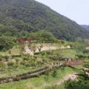 비학산자연휴양림 이미지