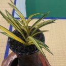 형제특장 이미지