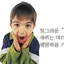 바퀴벌레 퇴치를 위한 생활속 방법! 이미지