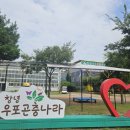 창녕우포곤충나라 이미지