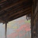 갈색추억 - 연천군 | 갈색추억