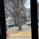 청계산로 434 | 찡찡이 가족들과 나들이 청계산에서 (Fit 대창)