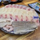 괴정횟집 | 파도치노 횟집/ 사하구 맛집/괴정 가볼만한 맛집