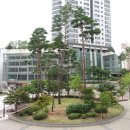 반송동127 이미지