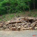 성프란치스코수녀원 이미지