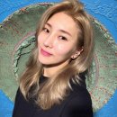 자이언트 - 김해시 | 자이언트