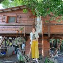 게스트하우스 정글 민박 이미지