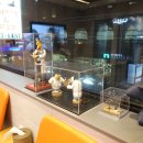 최영민 동물의료센터 이미지