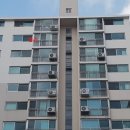 덕진-115 이미지