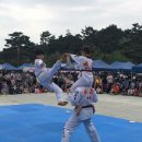 비호태권도 이미지