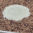 수아떡방 이미지