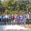 샘재로 4 이미지