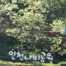 나비어린이공원 | 부평에 있는 인천나비공원 방문기! 아이랑 숲놀이터, 그물놀이터, 장수산 둘레길까지!