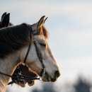호스텔아라 이미지