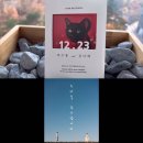 다홍 이미지