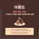 아몬드5000 이미지