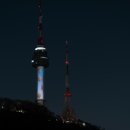 퍼피클래식 이미지