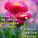인생역전 티스토리