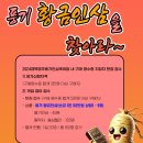 가을 국내여행 경북영주 10월 풍기인삼축제와 숙박 정보