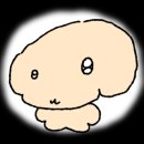 새로나 파크 이미지