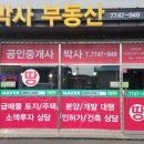 양평부동산박사공인중개사사무소 네이버블로그
