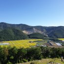 후니 피자 이미지