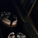 에버랜드 다녀왔어요 이미지