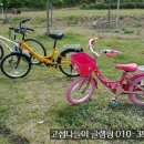 고성섬나들이 이미지