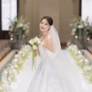 1108 | [본식스냅] 보테가마지오 '스냅1108호' 계약 후기📷