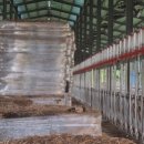 한우축사(2) 이미지