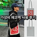 가성비 에코팩 사용 후기 및 브랜드 소개 / 가볍게 들고 다닐 수 있는 가방 추천