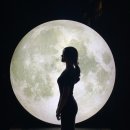 완뽕월성점 | 내가 사랑하게 된 강릉.