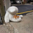 퀘렌시아 이미지