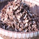 추월농장 이미지