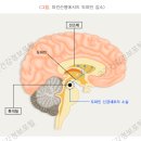 자애요양병원 이미지