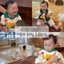 에이유니 - 용인시 기흥구 | 남양주 다산 실내 동물원 ‘테이블에이’ 후기- 아이와 가볼만한 곳 & 먹이주기체험