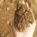 아침못농장 이미지