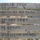 와보랑께박물관 이미지