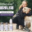 삼성펫클리닉 이미지
