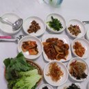 산채원 | 양구 한식맛집 엄마가 산채원 산채정식 후기 양구맛집추천