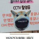 산속놀이터
