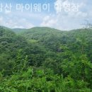 토함산마이웨이야영장