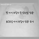 252 | 뒤집기 시기, 늦어도 괜찮을까 252일 아기 첫 뒤집기 성공 후기