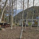 수피령로 | 화천 잔미술관카페 방문기｜나혼자 산다 윤가이 촬영지 + 타로 카페