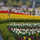 반려동문과 함께하는 행복 관음 | [울산 가볼만한곳] 아이와 함께, 연인과 함께! 사계절 완벽한 나들이 코스, 울산대공원