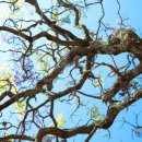 광제한의원 이미지