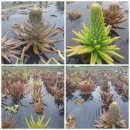 단비농장 이미지