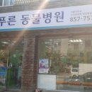 푸른동물병원 이미지