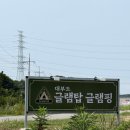 고은 유치원 | 탑 글램핑장] 키즈 수영장이 있는 대부도 글램핑장 후기 | 보드게임, 모래 놀이터, 농구장, 족구장...